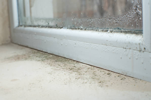 Mold Remediation for Rental Properties in Lagrange, GA